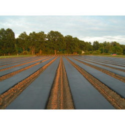 Agro plėvelė 50 g/m2 juoda 1,20x100