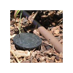 Hunter PRO Spray shut off cap