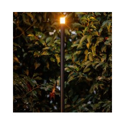 Erba Mid 12V