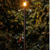 Erba Mid 12V Erba Mid 12V