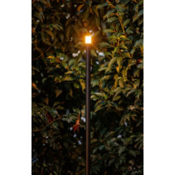 Erba Mid 12V