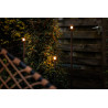 Erba 12V (Set of 3) Erba 12V (Set of 3)