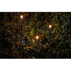 Erba 12V (Set of 3)