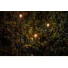 Erba 12V (Set of 3) Erba 12V (Set of 3)