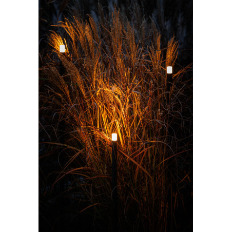 Erba 12V (Set of 3)